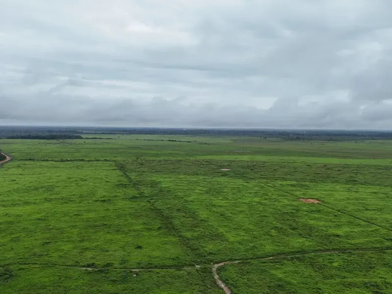 Fazenda em Monte Alegre de Goiás/Goiás — Ref OKQY4U — Imagem 14