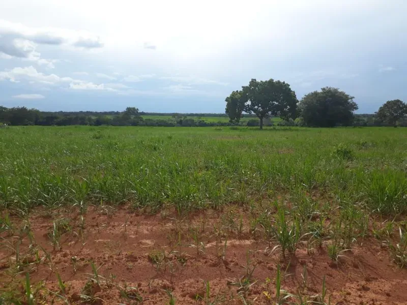 Fazenda em Monte Alegre de Goiás/Goiás — Ref OKQY4U — Imagem 22