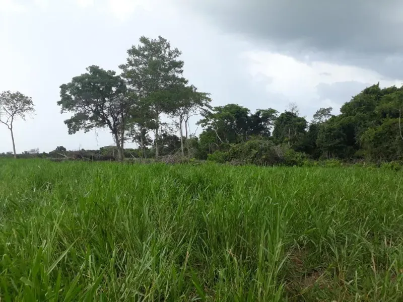 Fazenda em Monte Alegre de Goiás/Goiás — Ref OKQY4U — Imagem 15