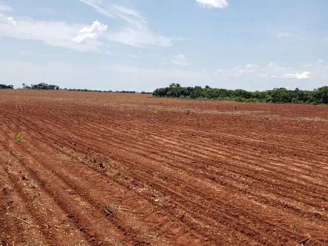 Fazenda em Monte Alegre de Goiás/Goiás — Ref OKQY4U — Imagem 26