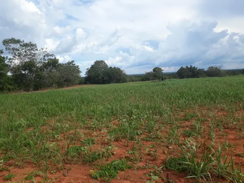 Fazenda em Monte Alegre de Goiás/Goiás — Ref OKQY4U — Imagem 29