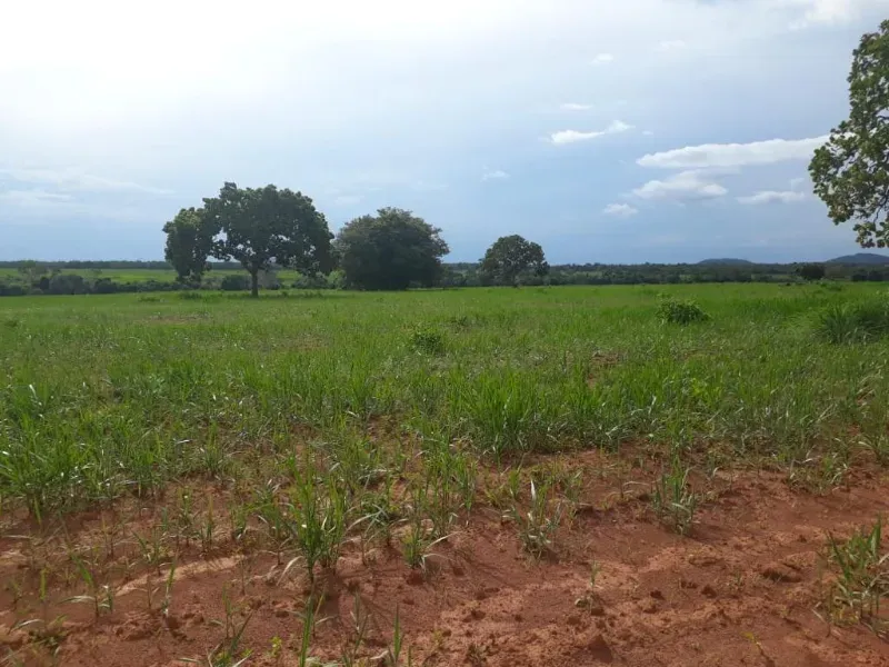 Fazenda em Monte Alegre de Goiás/Goiás — Ref OKQY4U — Imagem 28