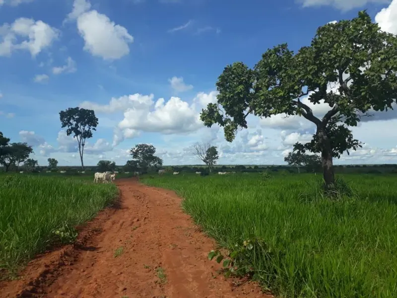 Fazenda em Monte Alegre de Goiás/Goiás — Ref OKQY4U — Imagem 2