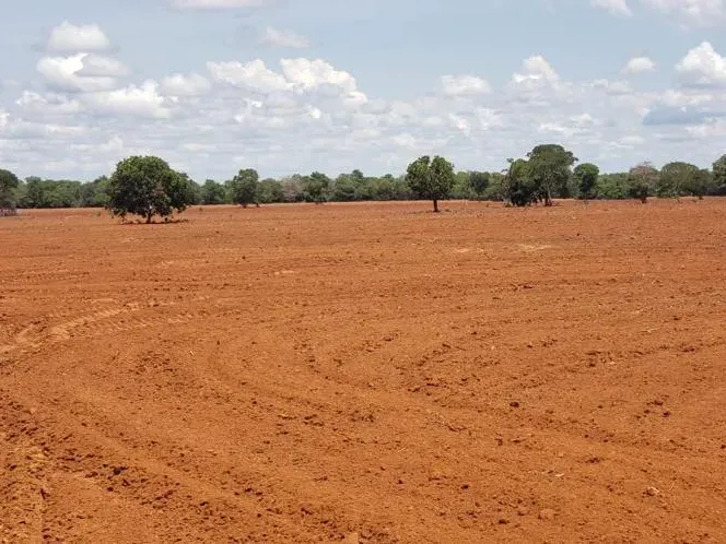 Fazenda em Monte Alegre de Goiás/Goiás — Ref OKQY4U — Imagem 25