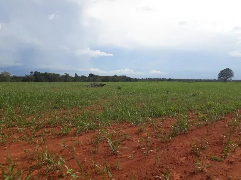 Fazenda em Monte Alegre de Goiás/Goiás — Ref OKQY4U — Imagem 27