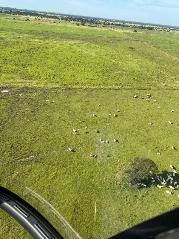 Fazenda em Monte Alegre de Goiás/Goiás — Ref OKQY4U — Imagem 6