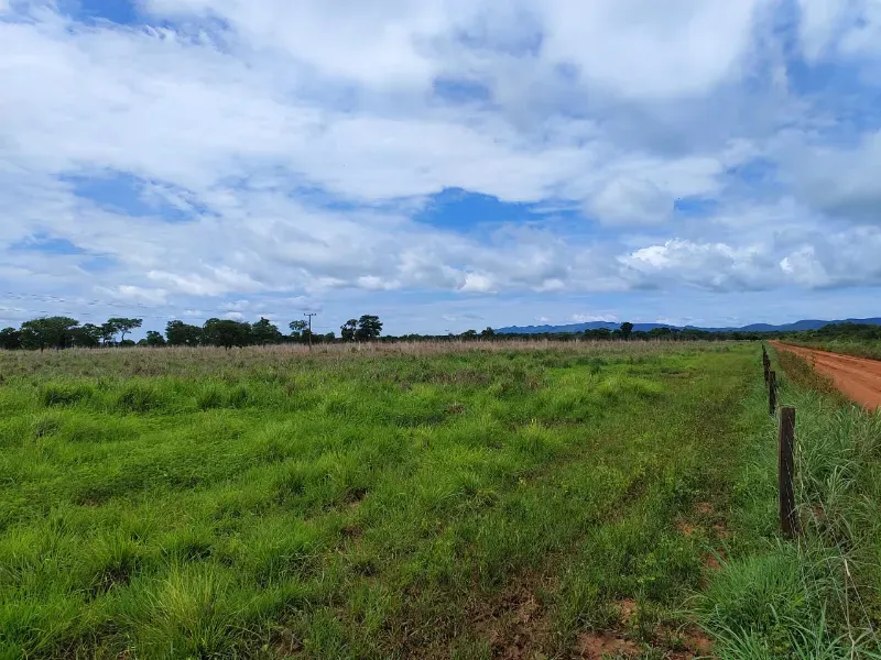 Fazenda em Monte Alegre de Goiás/Goiás — Ref OKQY4U — Imagem 18