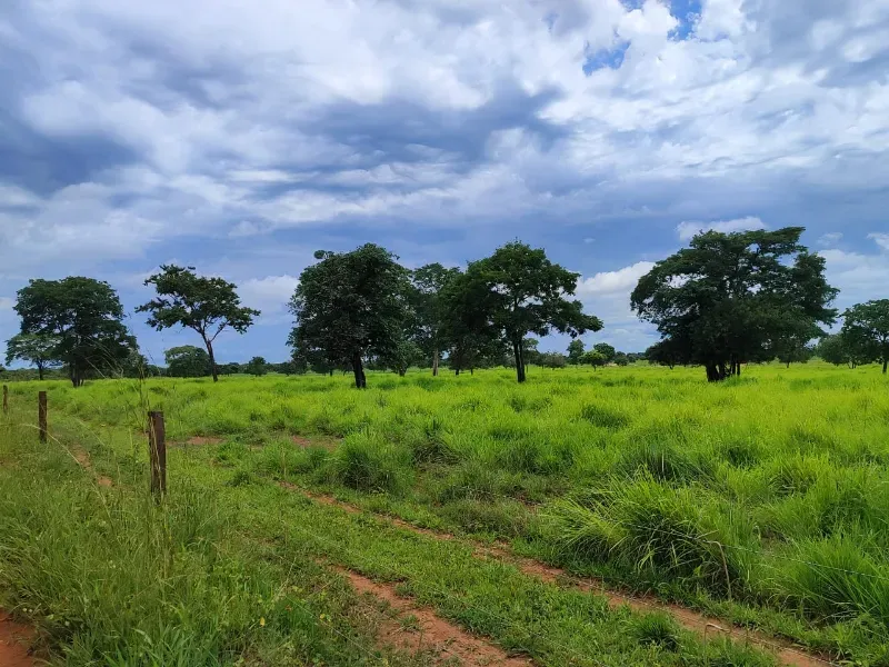 Fazenda em Monte Alegre de Goiás/Goiás — Ref OKQY4U — Imagem 8