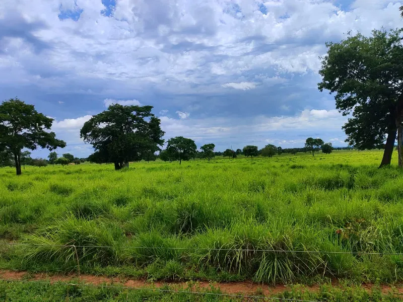 Fazenda em Monte Alegre de Goiás/Goiás — Ref OKQY4U — Imagem 10