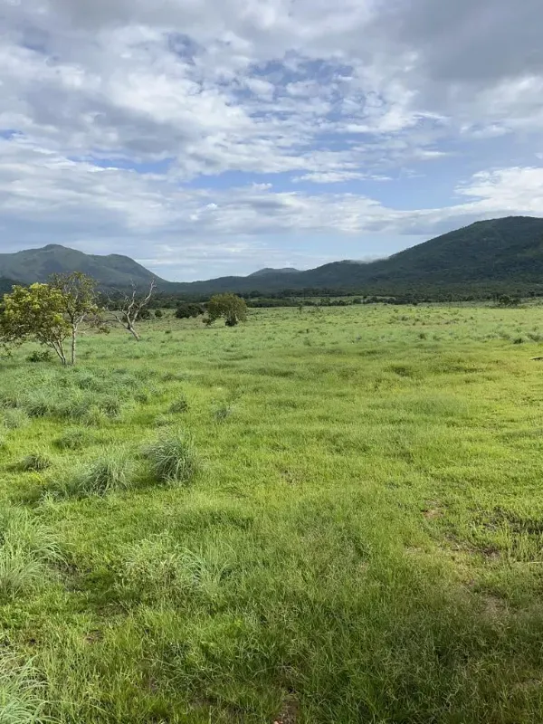 Fazenda em Monte Alegre de Goiás/Goiás — Ref OKQY4U — Imagem 7