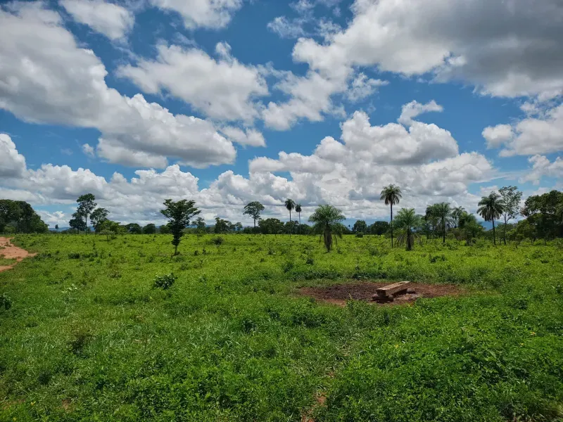 Fazenda em Monte Alegre de Goiás/Goiás — Ref OKQY4U — Imagem 9
