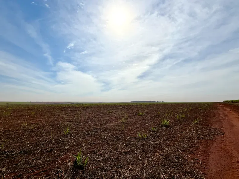 Fazenda em Morro Agudo/São Paulo — Ref C53GQM — Imagem 3