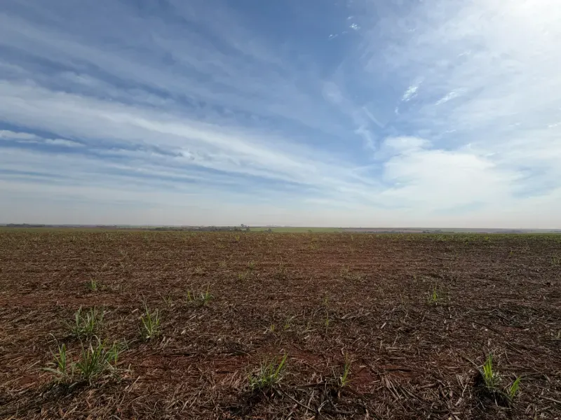 Fazenda em Morro Agudo/São Paulo — Ref C53GQM — Imagem 4