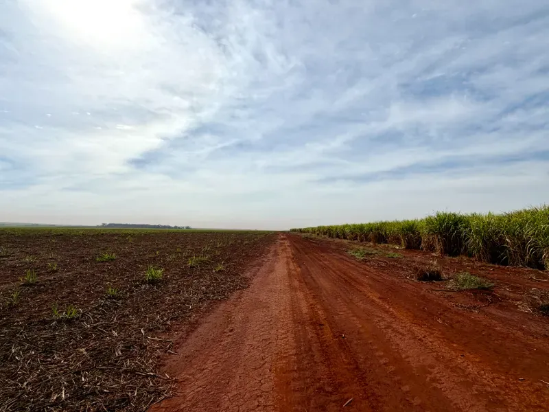 Fazenda em Morro Agudo/São Paulo — Ref C53GQM — Imagem 2
