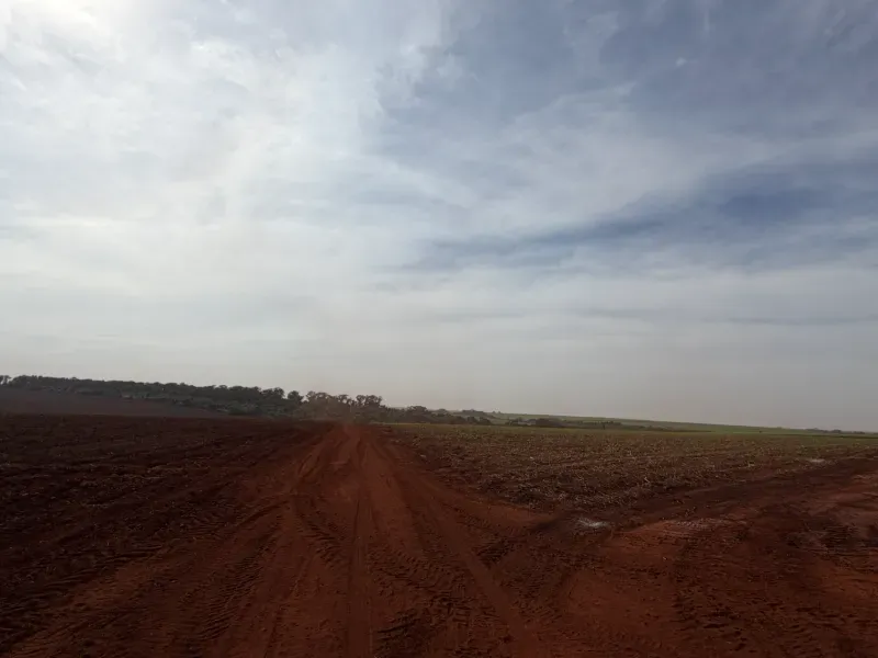Fazenda em Morro Agudo/São Paulo — Ref C53GQM — Imagem 5