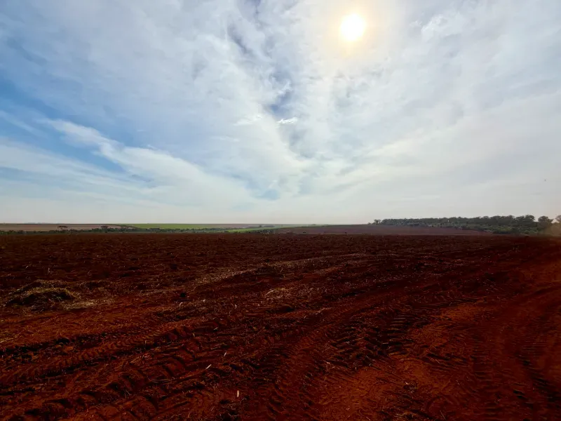 Fazenda em Morro Agudo/São Paulo — Ref C53GQM — Imagem 8