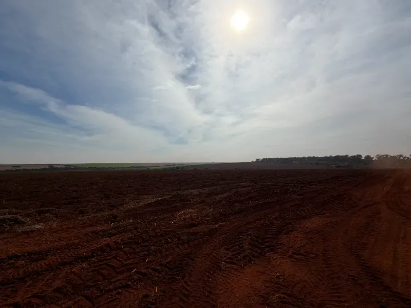 Fazenda em Morro Agudo/São Paulo — Ref C53GQM — Imagem 9