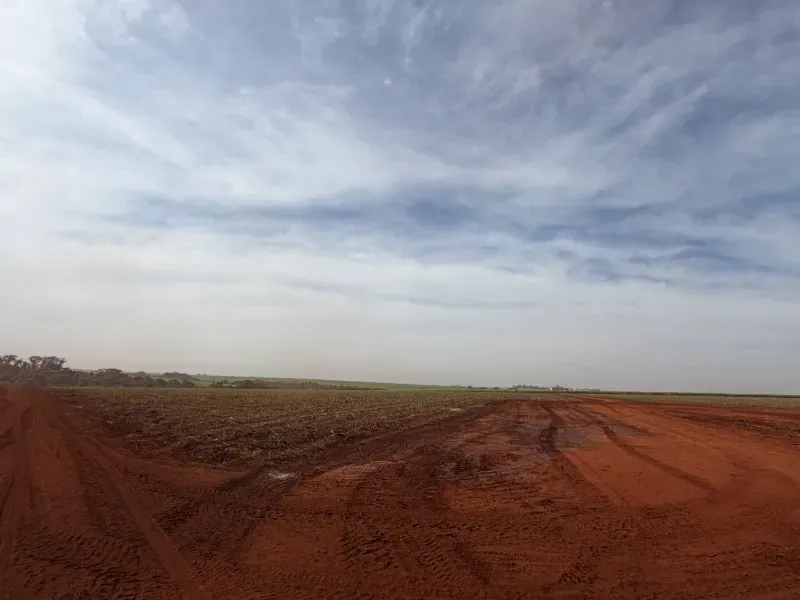Fazenda em Morro Agudo/São Paulo — Ref C53GQM — Imagem 10