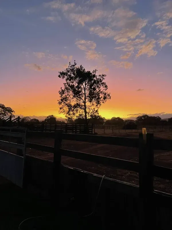 Imóvel rural em Nova Roma/Goiás — Ref W4O5VN1