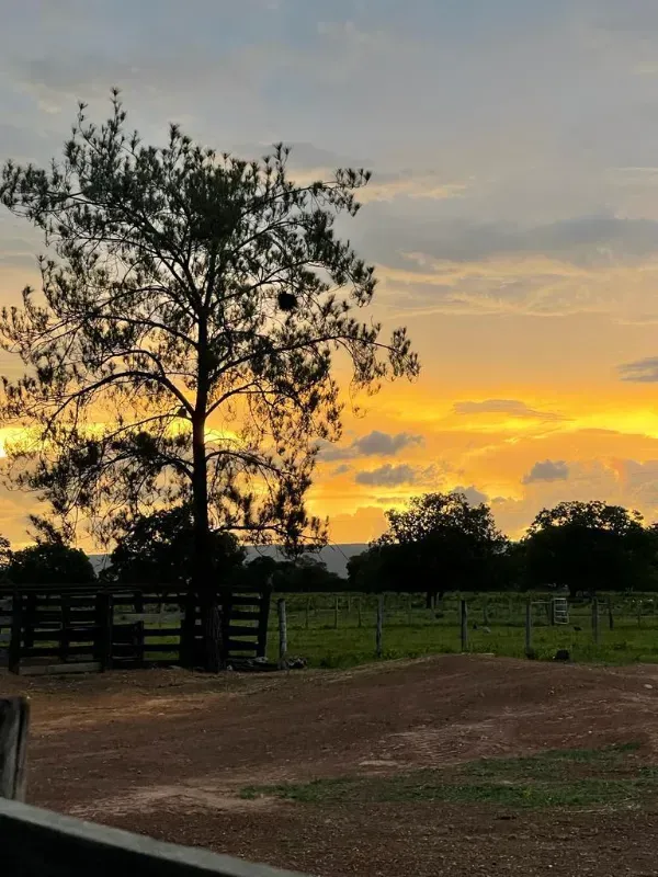 Fazenda em Nova Roma/Goiás — Ref W4O5VN — Imagem 2