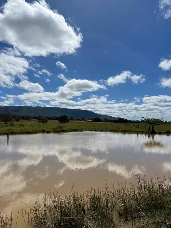 Fazenda em Nova Roma/Goiás — Ref W4O5VN — Imagem 6