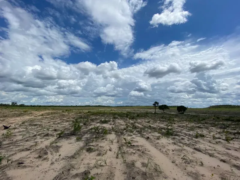 Fazenda em Novo Acordo/Tocantins — Ref 1G9TI8 — Imagem 3