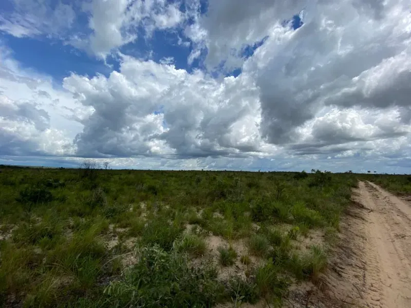 Fazenda em Novo Acordo/Tocantins — Ref 1G9TI8 — Imagem 4