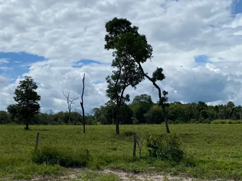 Fazenda em Novo Acordo/Tocantins — Ref 1G9TI8 — Imagem 5
