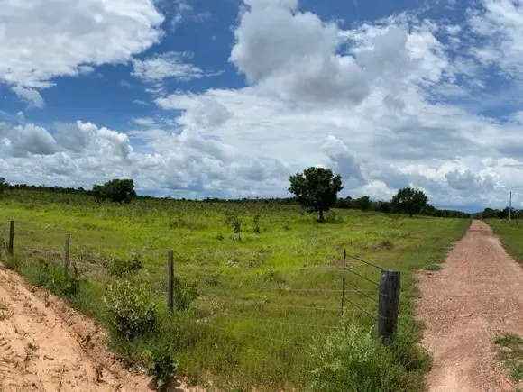 Fazenda em Novo Acordo/Tocantins — Ref 1G9TI8 — Imagem 6