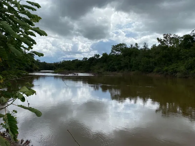 Fazenda em Novo Acordo/Tocantins — Ref 1G9TI8 — Imagem 8