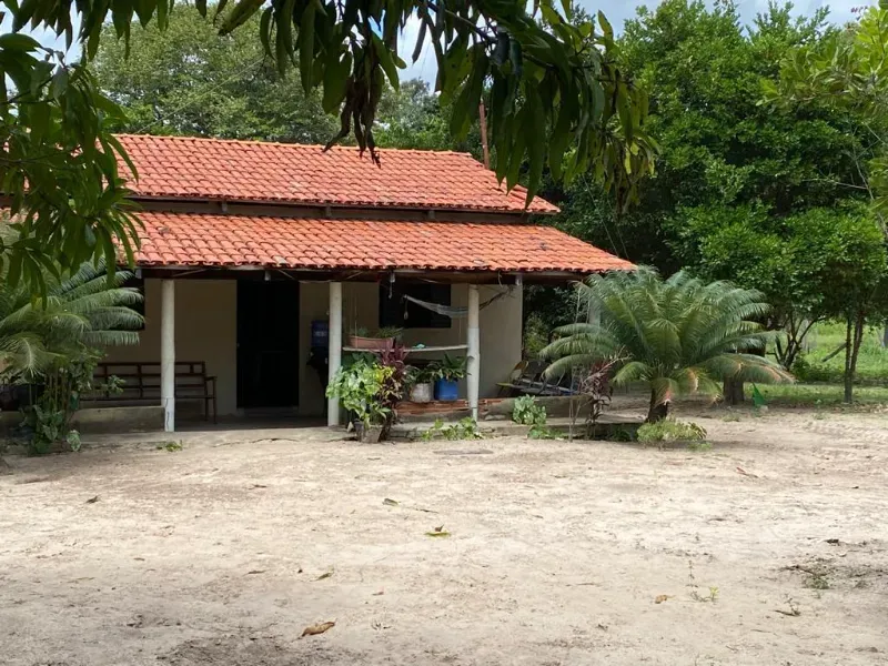 Fazenda em Novo Acordo/Tocantins — Ref 1G9TI8 — Imagem 11