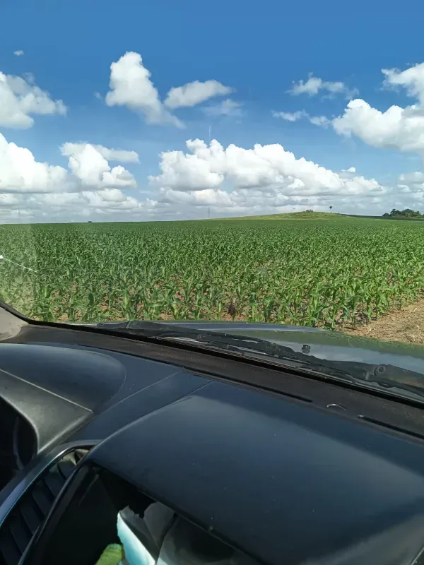 Imóvel rural em Novo Progresso/Pará — Ref XSARC11