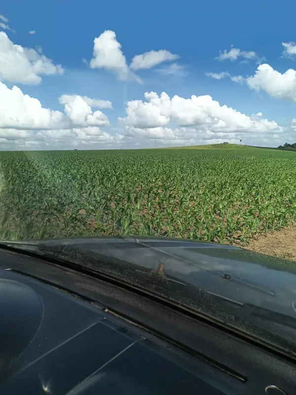 Fazenda em Novo Progresso/Pará — Ref XSARC1 — Imagem 2