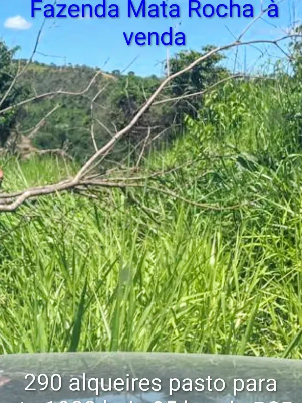 Fazenda em Padre Bernardo/Goiás — Ref CPHJ0V — Imagem 2