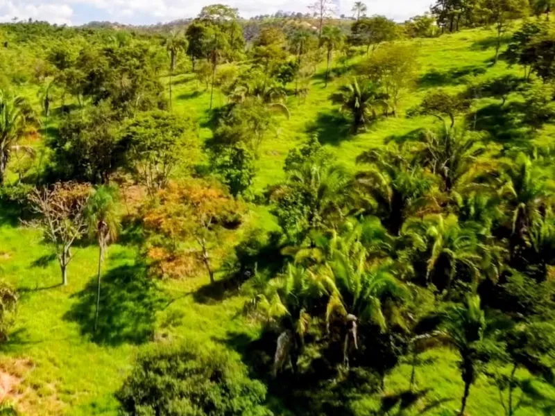 Fazenda em Padre Bernardo/Goiás — Ref CPHJ0V — Imagem 4