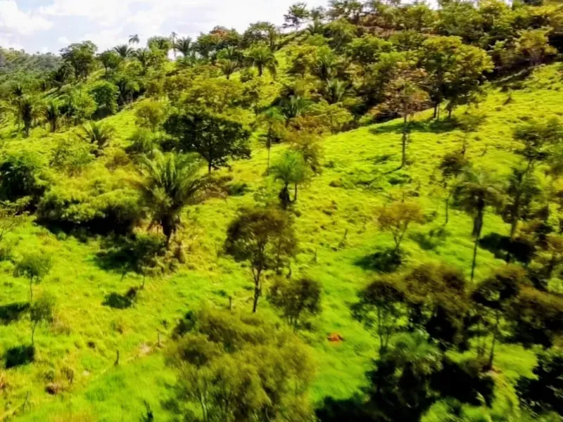 Fazenda em Padre Bernardo/Goiás — Ref CPHJ0V — Imagem 5