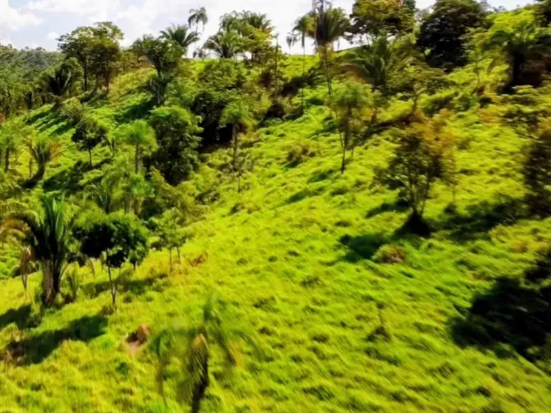 Fazenda em Padre Bernardo/Goiás — Ref CPHJ0V — Imagem 7