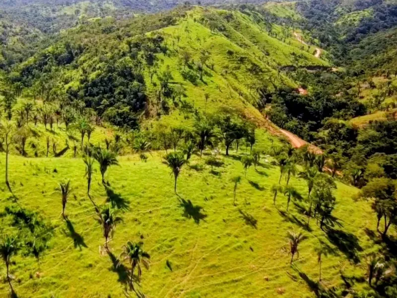 Fazenda em Padre Bernardo/Goiás — Ref CPHJ0V — Imagem 8