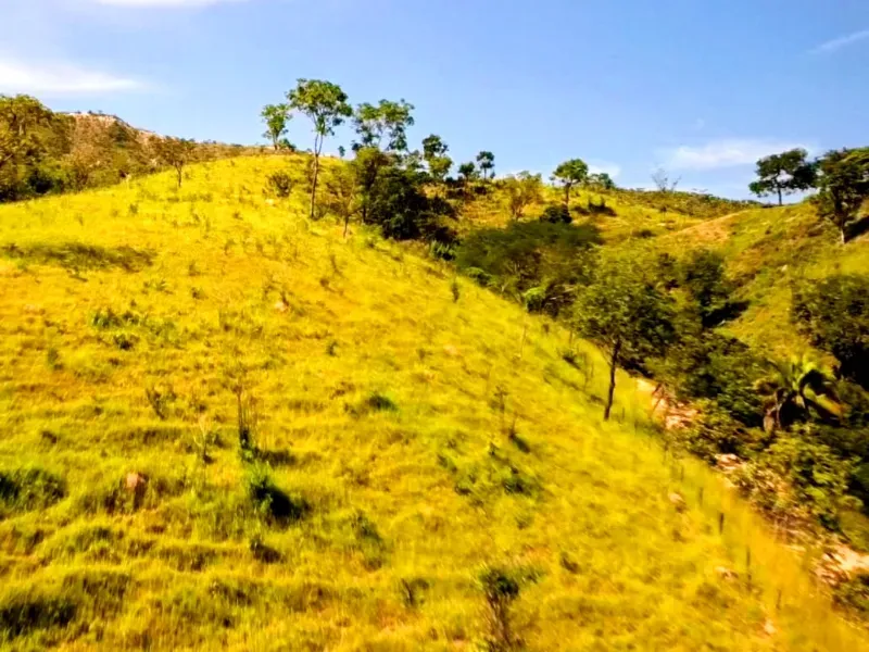 Fazenda em Padre Bernardo/Goiás — Ref CPHJ0V — Imagem 16