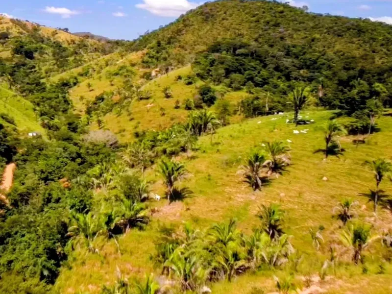 Fazenda em Padre Bernardo/Goiás — Ref CPHJ0V — Imagem 18