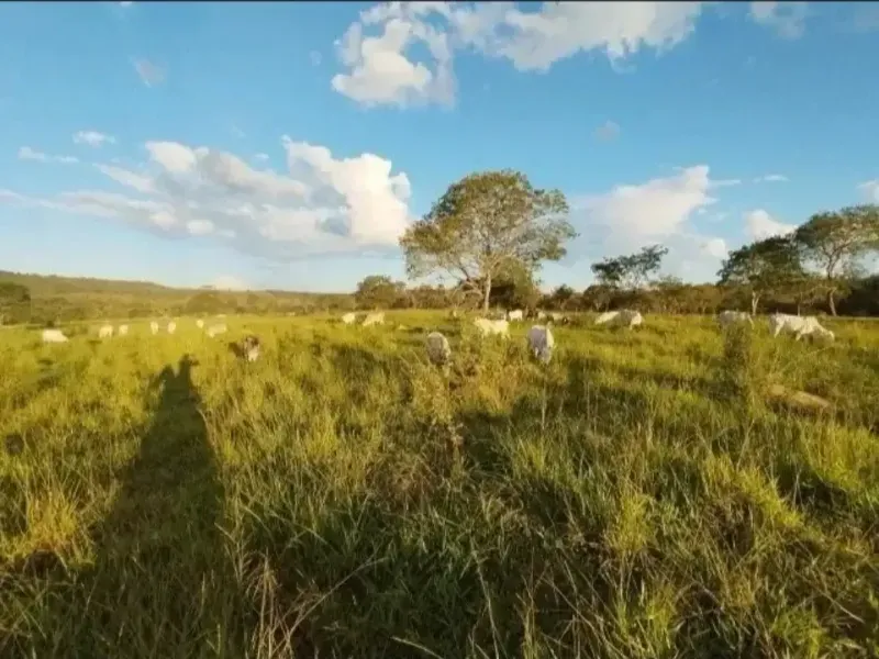 Imóvel rural em Paracatu/Minas Gerais — Ref M2CD0Y1