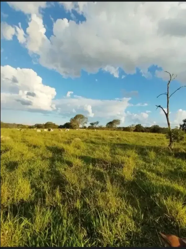 Fazenda em Paracatu/Minas Gerais — Ref M2CD0Y — Imagem 3