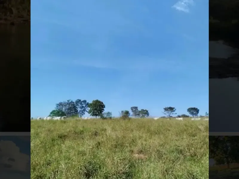 Fazenda em Paracatu/Minas Gerais — Ref M2CD0Y — Imagem 4