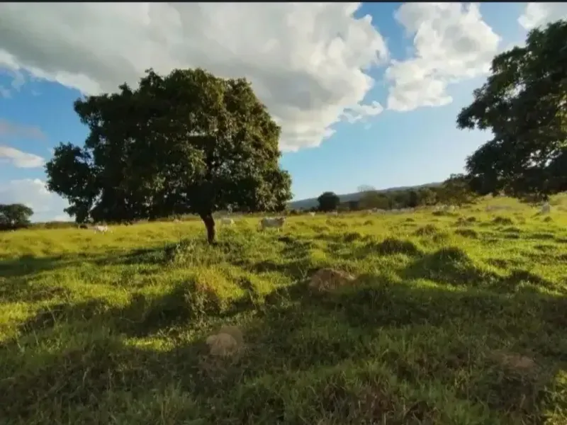 Fazenda em Paracatu/Minas Gerais — Ref M2CD0Y — Imagem 5