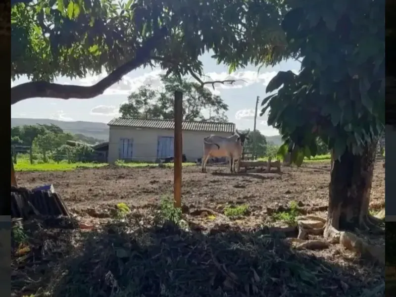 Fazenda em Paracatu/Minas Gerais — Ref M2CD0Y — Imagem 7