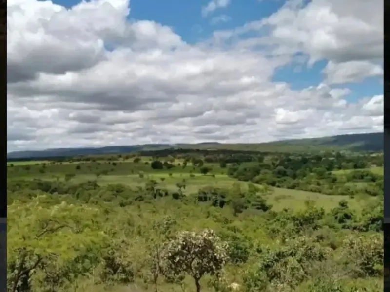 Fazenda em Paracatu/Minas Gerais — Ref M2CD0Y — Imagem 10