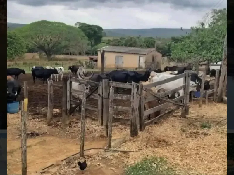 Fazenda em Paracatu/Minas Gerais — Ref M2CD0Y — Imagem 11