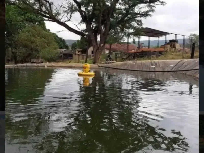 Fazenda em Paracatu/Minas Gerais — Ref M2CD0Y — Imagem 13