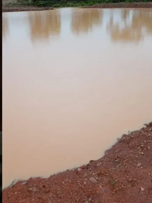 Fazenda em Paracatu/Minas Gerais — Ref 4V32Q1 — Imagem 10