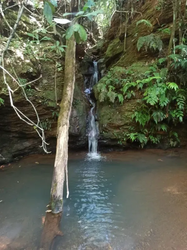 Fazenda em Patos de Minas/Minas Gerais — Ref 20DTX8 — Imagem 3